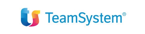 Team System